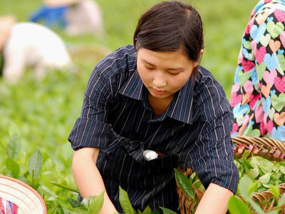 Sinh viên Đại học FPT trải nghiệm cuộc sống lao động của người dân