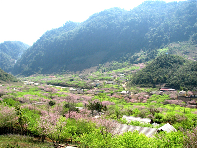 Phong cảnh tuyệt đẹp của Mộc Châu- Sơn La được lựa chọn là điểm đến cho khóa học của FRD. Ảnh:ST