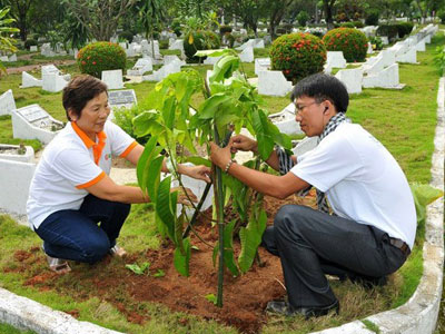 Tưởng nhớ công lao của các anh, đoàn đã trồng 15 cây xanh bên mộ các liệt sỹ với hy vọng cây tỏa bóng mát nơi các anh yên nghỉ.
