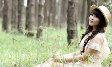 Dạo bước rừng thông