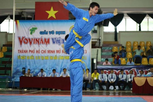 Kỹ thuật trong Vovinam vận dụng các nguyên lý khoa học vào võ thuật như: lực ly tâm (các thế xoay người, gạt, đỡ, đấm đá, đánh chỏ…theo hình vòng cung hoặc vòng tròn); lực đòn bẫy (các thế bẻ, khóa, gày, móc, chặn…), lực xoáy (các thế đấm thẳng…), lực co gấp và sức bật (các đòn quăng, quật, vật, nhảy…), v.v… hầu giúp võ sinh ít hao tốn sức lực khi thi triển đòn thế mà vẫn đạt hiệu quả cao.
