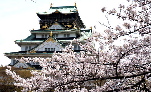Tháng Tư là mùa hoa anh đào nở rộ tại Nhật Bản.