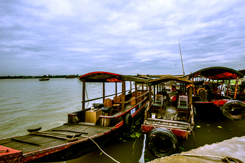 Cách TP HCM không xa là đồng bằng sông Cửu Long trù phú và bạt ngàn cây trái.