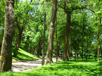 Công viên Bách Thảo nhiều cây xanh, thoáng mát là nơi được chọn để tổ chức chương trình Tết thiếu nhi cho các FPT Software Small.