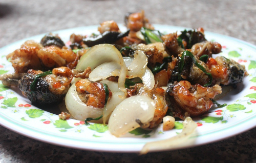 https://i.chungta.vn/2014/07/12/img-9536-jpg-7150-1404901371-318073-1413026954.jpg