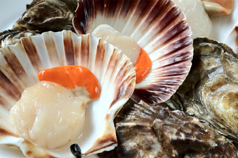 Muốn lựa sò còn tươi, các bạn chú ý những rổ sò có nhiều con sò thò lưỡi ra ngoài là mẻ sò đó còn tươi sống.