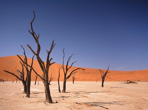 Nghĩa địa cây khô Deadvlei - Namibia. Dedvilel là một nghĩa trang cho cây và là nơi không có sự sống. Tuy nhiên, cảnh quan thiên nhiên ở đây vô cùng độc đáo và thu hút được sự quan tâm của khá nhiều người, đặc biệt là các nhiếp ảnh gia. Nằm trong công viên Namib - Naukluft ở Namibia, Deadvlei được bao quanh bởi một số những đụn cát cao nhất thế giới, trung bình từ 350 - 400m. Theo lý giải địa chất học, thềm sa thạch này được bao quanh bởi những cồn cát cao Dead Vlei là khu rừng trong sa mạc Namibia. Nơi đây có khí hậu vô cùng khắc nghiệt. Sự vắng mặt của nước và nhiệt độ cao đã đốt cháy tất cả các thảm thực vật ở nơi này, chỉ còn lại những loài cây chết khô màu đen, tạo nên những họa tiết kỳ quái trên mặt đất nhưng cũng không thể phân hủy vì đất đai quá khô nóng. Nhiệt độ ở đây cao đến nỗi bạn có thể vùi trứng xuống cát và có ngay món trứng chín không lâu sau đó.