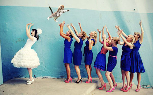 Thay vì hoa cưới, cô dâu tung chú mèo.