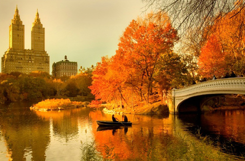 Người ta nói rằng New York là thành phố bốn mùa. Tuy nhiên, nếu có dịp đến đây vào mùa thu, bạn sẽ được ngắm nhìn cây cối trong công viên Central Park ngả đỏ, vàng, cam.