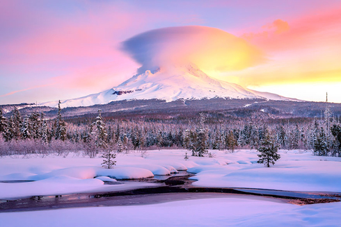 Cánh đồng phủ tuyết, Núi Hood, Oregon.