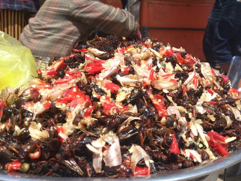 Độc đáo nhất trong văn hóa ẩm thực đất nước Chùa Tháp chính là những món ăn được chế biến từ côn trùng. Từ dế, nhện đều có thể trở thành món ăn vặt dọc đường.