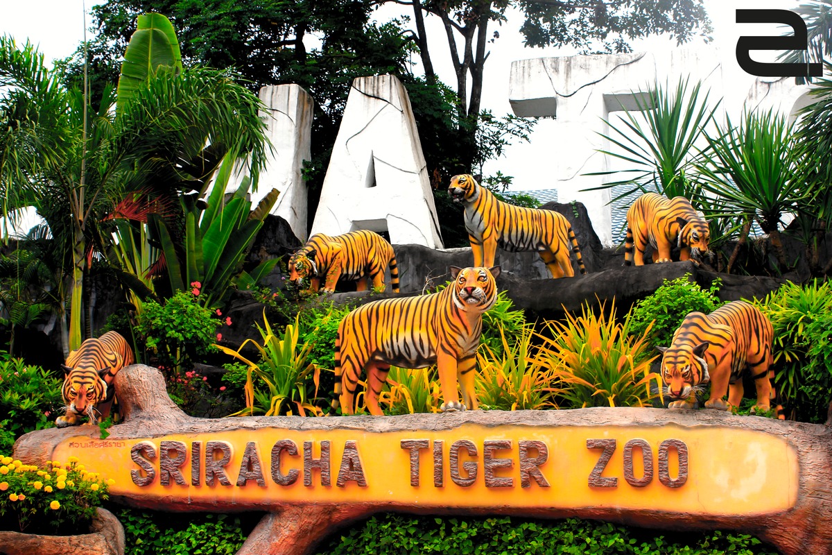 <p> Theo lịch trình, ngày đầu tiên của chuyến đi (5/3), 100 cá nhân xuất sắc sẽ đến thăm Vườn thú Sriracha Tiger Zoo. Nơi đây đang nuôi hơn 400 con hổ Bengal và trên 10.000 cá sấu các loại. </p>