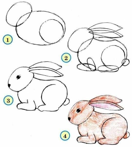Cách vẽ những loài vật dễ thương 'siêu' đơn giản
