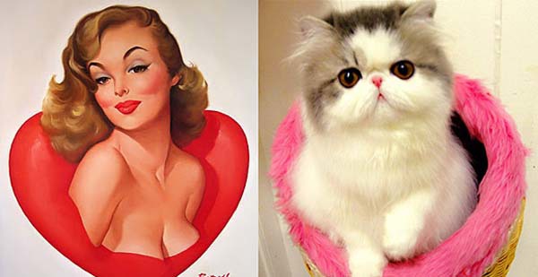 <p> Khuôn mặt quyến rũ. </p>