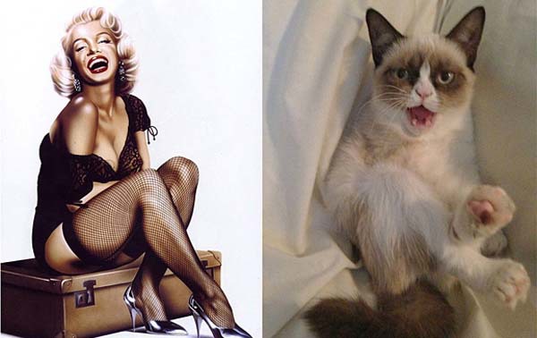 <p class="Normal"> Cũng cười khi gặp ống kính máy ảnh.</p>