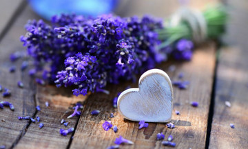 11 hương thơm tự nhiên giúp cải thiện tâm trạng