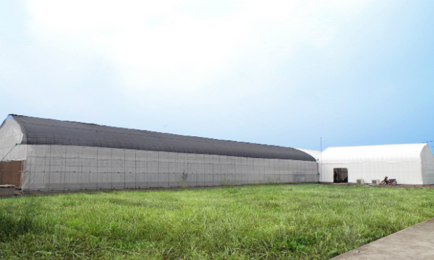 Trung tâm Hợp tác Nông nghiệp thông minh FPT-Fujitsu, với diện tích 403m2, gồm 3 khu vực Nhà kính, nhà máy rau và khu trưng bày