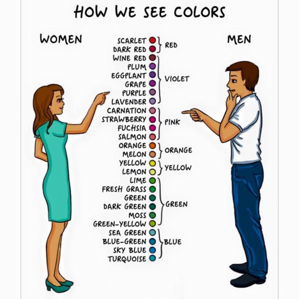 <p> Phụ nữ có cả ngàn màu sắc cần phân biệt trong khi đàn ông chỉ là xanh, đỏ, tím, vàng... mà thôi.</p>