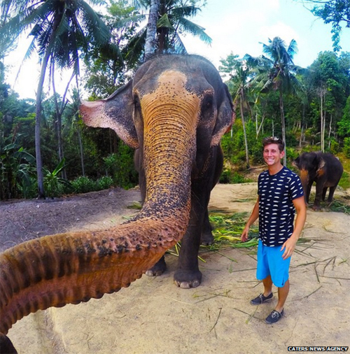 <p> Con voi tự ghi lại hình ảnh của nó và chủ nhân chiếc máy ảnh, mở ra khái niệm elphie (elephant selfie).</p>