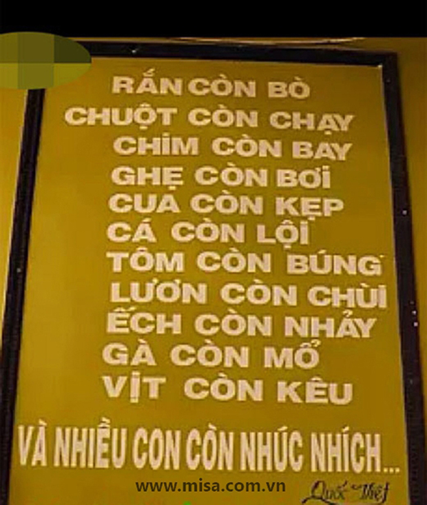 Đúng "chất" hải sản tươi sống.