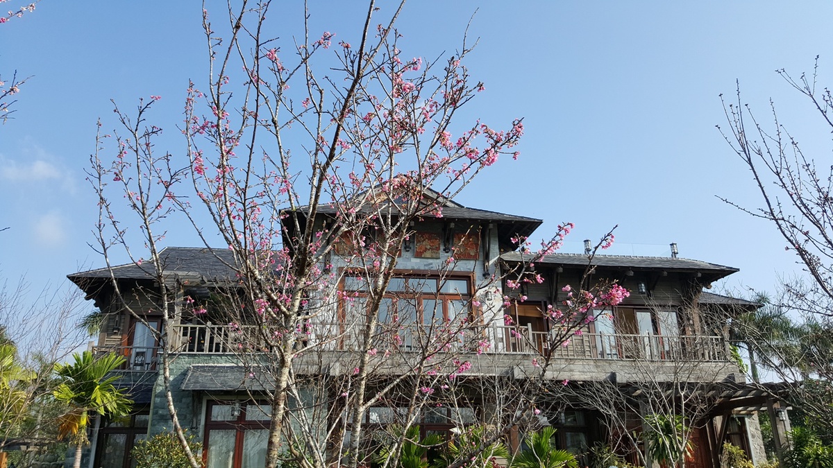 <p> Trong vườn biệt thự Sen, tại Đại Lải, TGĐ FPT trồng 10 cây hoa anh đào. Thưởng trà, ngắm hoa nở và bay bay trong gió là thú vui tao nhã.</p>