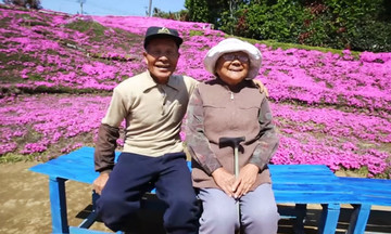 Người đàn ông trồng hoa cho vợ mù ngửi suốt 2 năm