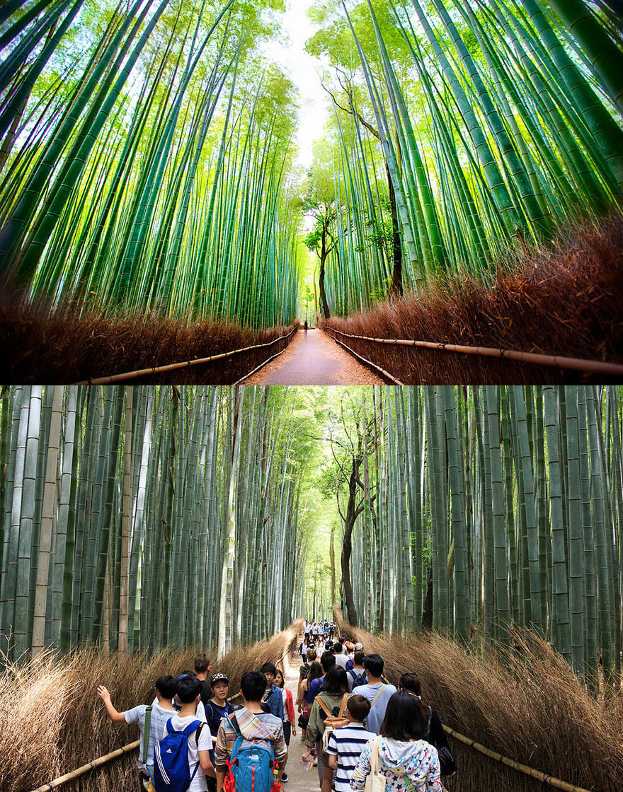 <p> Khám phá rừng tre Arashiyama ở Nhật Bản.</p>