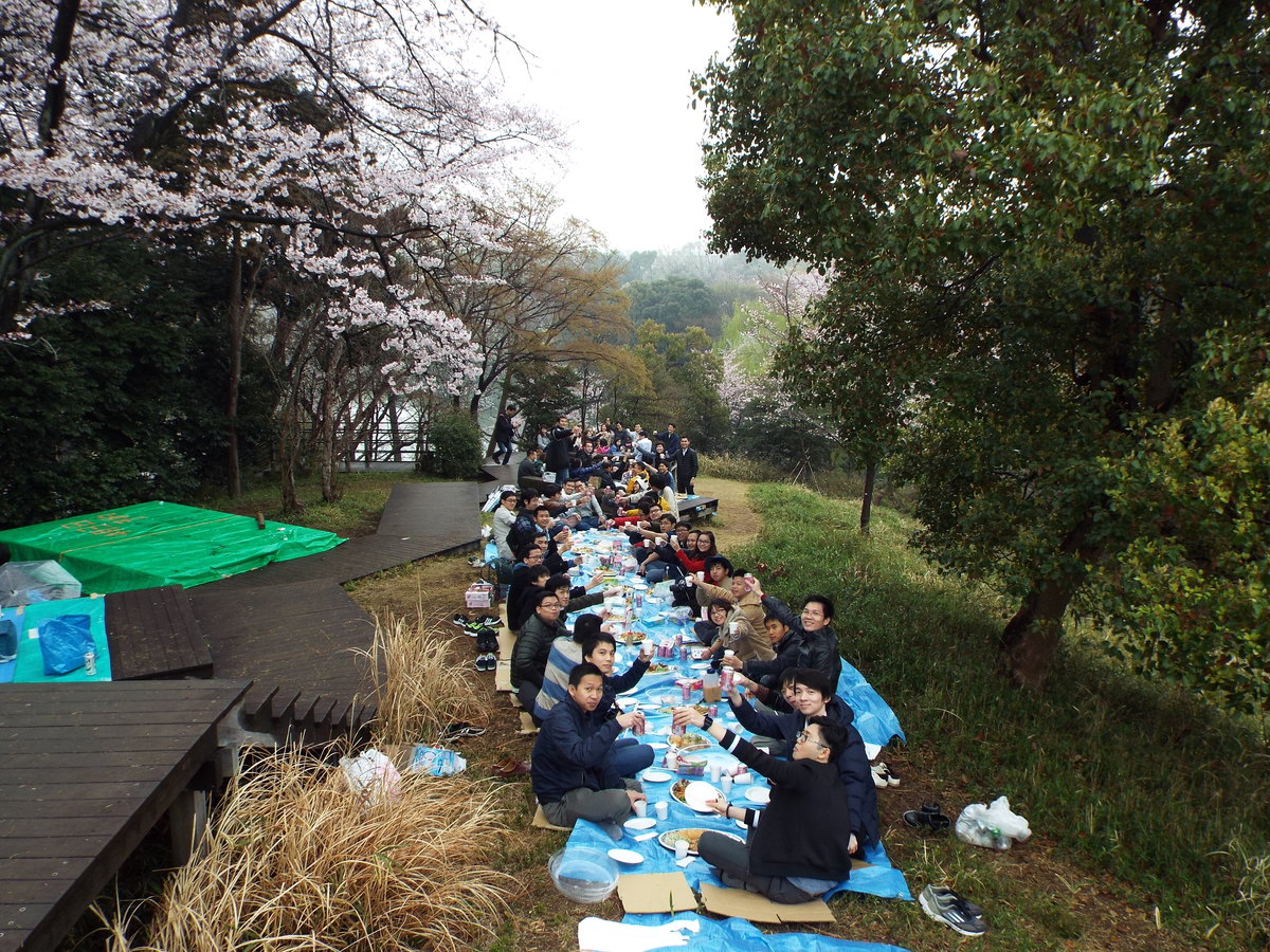 <p> Hoạt động này là tập quán thưởng thức vẻ đẹp của hoa anh đào, chúc mừng nhau và cảm nhận không khí mùa xuân của người Nhật. Vào những ngày lễ hội, mọi người thường tụ tập dưới những gốc cây anh đào nở hoa, vừa ngắm hoa vừa uống rượu.</p> <p> Mặc dù thời tiết có mưa nhỏ, không thuận lợi, nhưng chương trình năm nay thu hút gần 400 CBNV FPT Japan và người thân tham dự. Số lượng người đông nên BTC chia làm nhiều nhóm nhỏ. </p>