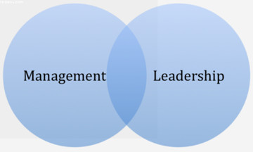Khám phá sự khác biệt giữa quản lý và lãnh đạo