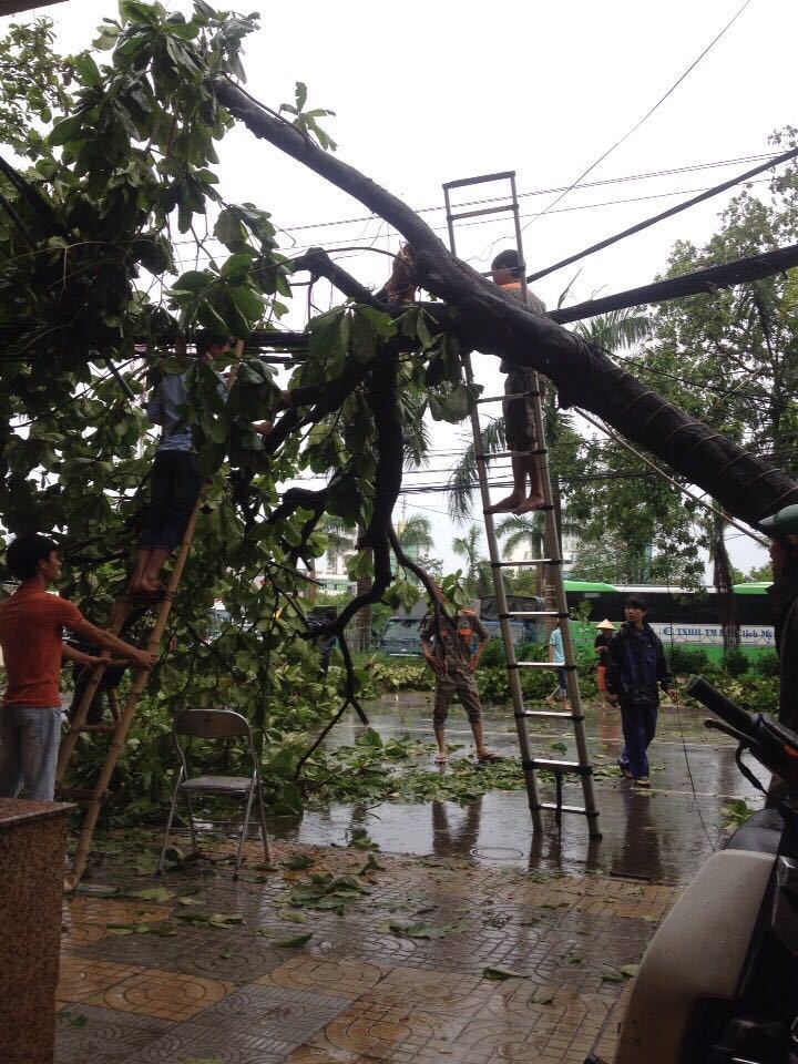 <p> Đội kỹ thuật và kinh doanh chi nhánh đang xử lý cây đổ chắn ngang ngay trước cửa văn phòng FPT.</p>