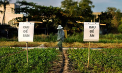 Góc nhìn sáng tạo của người trẻ FPT về thực phẩm bẩn