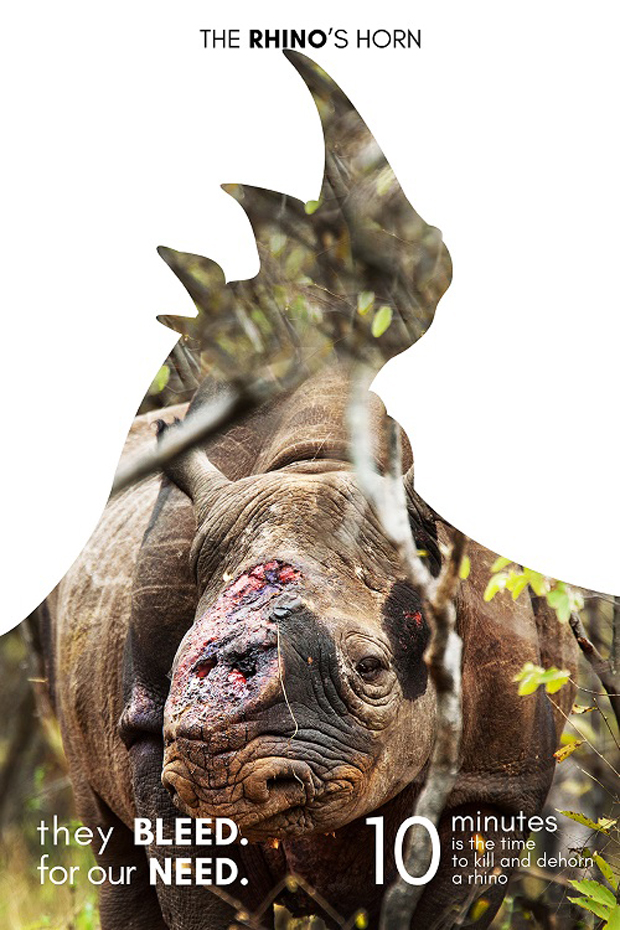 poster03b-rhino-9105-1475486773.jpg