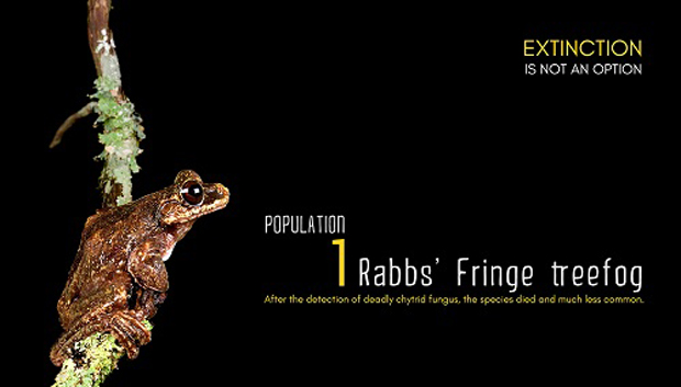 poster04b-Rabbs-1219-1475486773.jpg