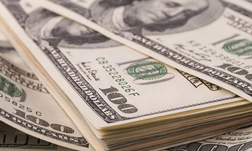 Lý do không nên làm việc vì tiền