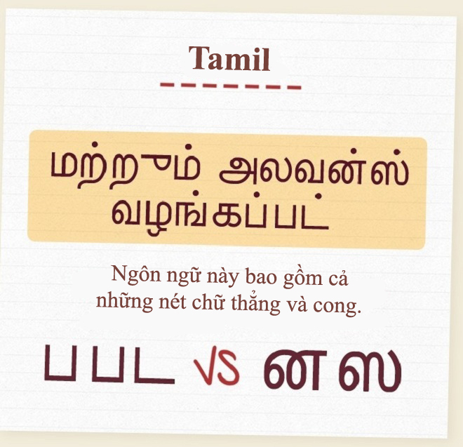 <p> Chữ viết trong ngôn ngữ Tamil, sử dụng tại Ấn Độ, Sri Lanka...</p>
