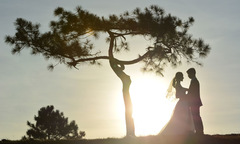 Ảnh cưới chụp ngược sáng đẹp như tranh của người nhà F