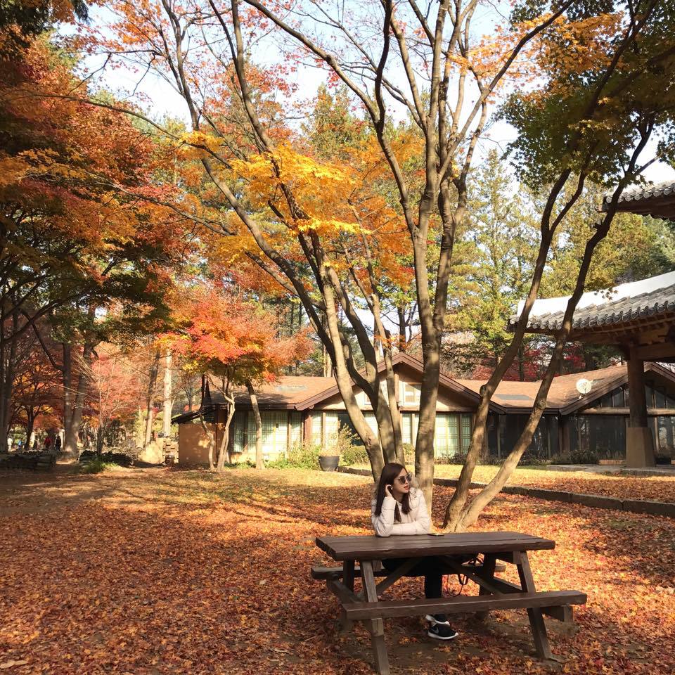 <p class="Normal"> Khi được đắm mình trong không gian lãng mạn của mùa thu xứ Hàn, cô thêm yêu cảnh sắc thiên nhiên nơi đây. </p>