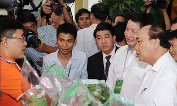 Thủ tướng Nguyễn Xuân Phúc: 'Cách mạng nông nghiệp phải áp dụng công nghệ 'mềm''