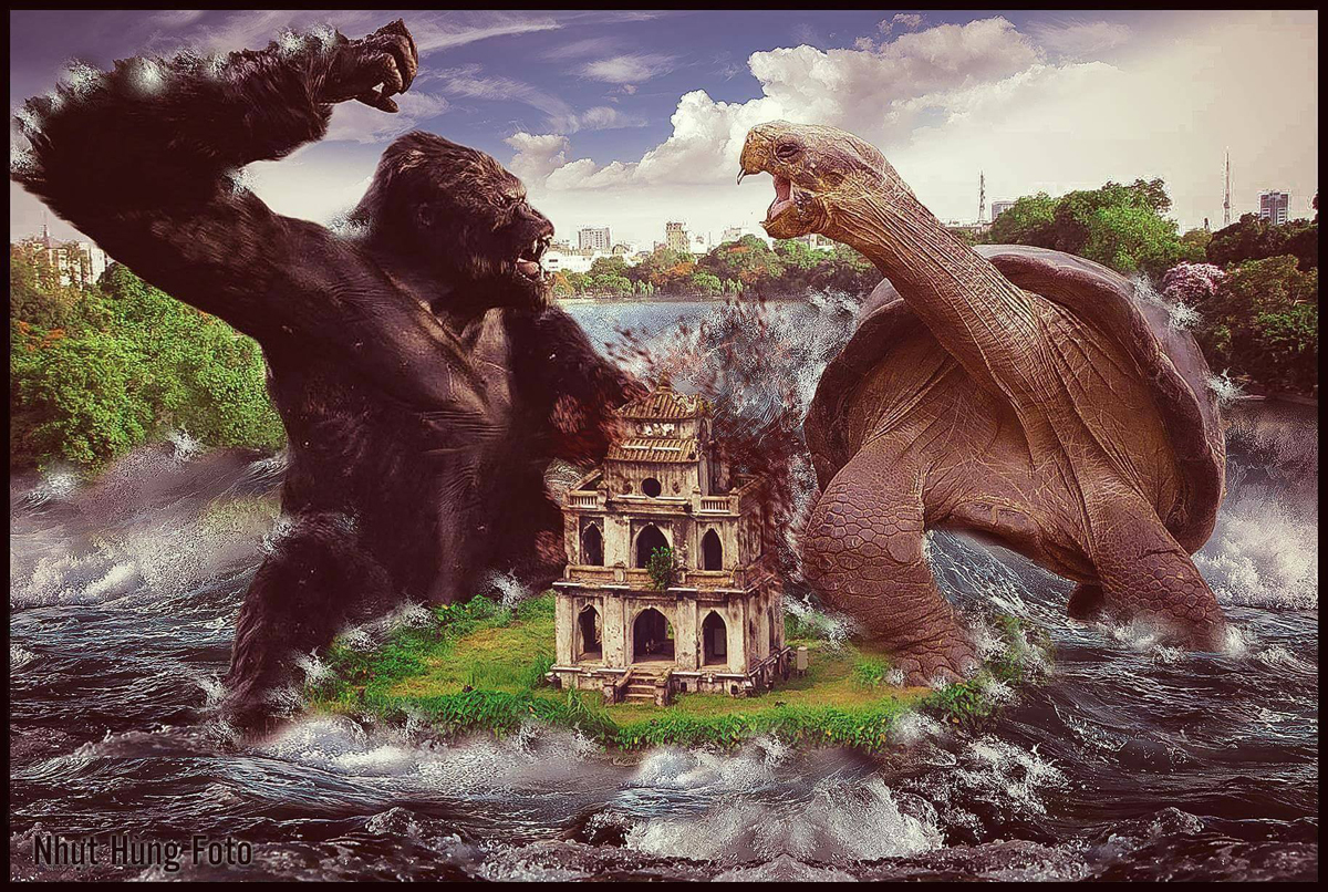 <p> Thay vì chiến đấu với Thằn lằn chúa, Kong sẽ phải đại chiến với Cụ Rùa để tranh giành lãnh địa Hồ Gươm. </p>