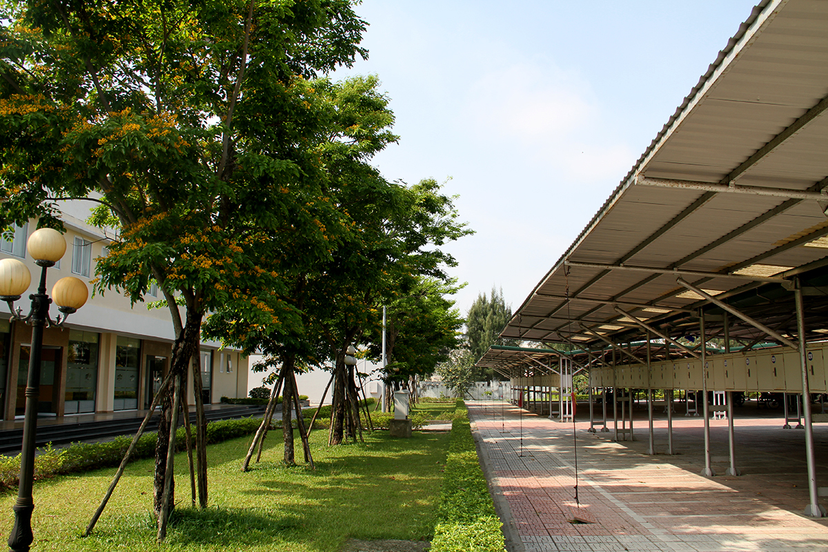 <p class="Normal" style="text-align:justify;"> Thừa kế cơ sở vật chất có sẵn của Tòa nhà FPT, học sinh sẽ được học tập và làm việc trong môi trường đầy đủ tiện nghi. Trong ảnh là một góc của nhà giữ xe và khuôn viên cây xanh.</p> <p class="Normal" style="text-align:justify;"> Bước đầu nhà trường sẽ đào tạo theo mô hình bán trú. Bên cạnh chương trình học tập chính khoá theo chuẩn của Bộ Giáo dục và Đào tạo, chương trình đào tạo được thiết kế tăng cường các giờ học Tiếng Anh, CNTT và Kinh doanh. Song song với giờ học chính như Toán - Lý - Hóa - Văn - Giáo dục công dân… các lớp học bồi dưỡng sẽ được thiết kế riêng phù hợp với năng lực học tập của các nhóm học sinh khác nhau, học sinh có thể được bố trí tham gia học miễn phí tương ứng với sức học của mình.</p>