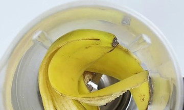 3 thứ không tốn tiền giúp chậu hoa héo lại tươi rói