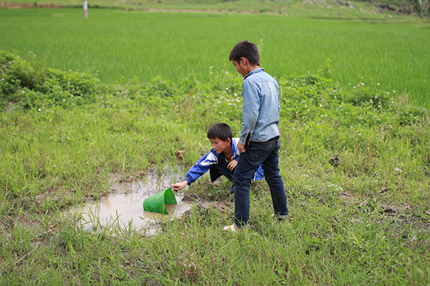 <p> Do không có nước sinh hoạt, chưa có hệ thống nước, thành viên đoàn cùng các em học sinh đã phải tận dụng nước ở các vùng trũng gần cánh đồng để lấy nước tưới cây. </p>