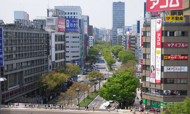 Sendai là thành phố lớn nhất và cũng là trung tâm kinh tế, văn hóa của vùng Tohoku