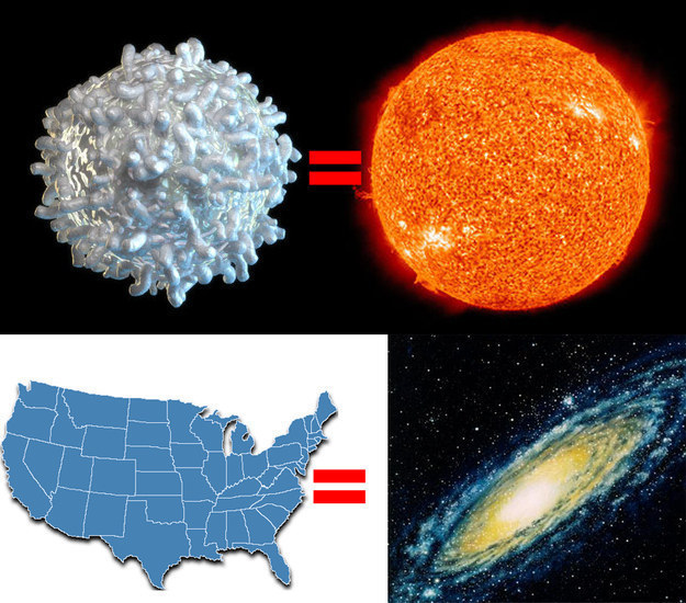<p class="Normal"> Nếu bạn giảm kích thước của Mặt trời xuống bằng kích thước của một tế bào máu trắng như hình trên, sau đó giảm kích thước của dải ngân hà với cùng tỷ lệ tương tự, thì dải ngân hà mới sẽ có kích thước bằng nước Mỹ.</p>