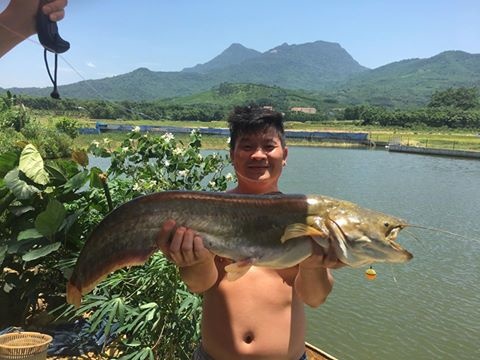 <div style="text-align:justify;"> Bức ảnh con cá Nheo gần 6kg của anh Đinh Công Sáng, Ban Văn hóa - Đoàn thể FPT, thu hút đông đảo lượt bình luận trên Facebook.</div>