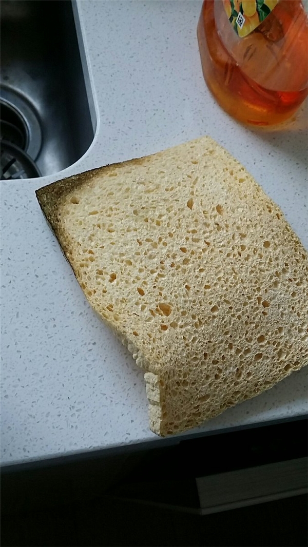 <p> Đây là miếng bánh mì hay tấm bọt biển? </p>