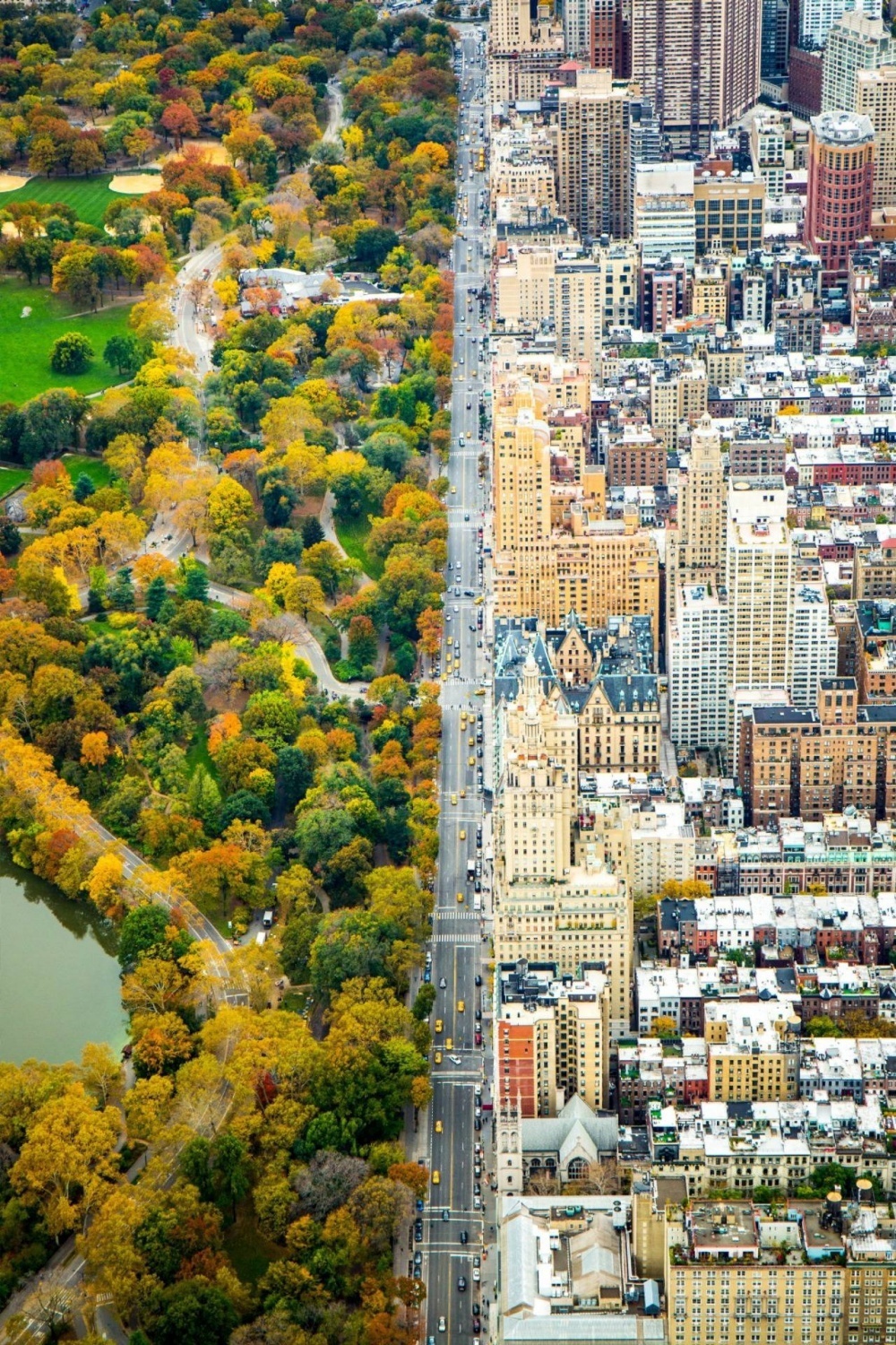 <p> Giữa hai thế giới. Bên trái là công viên trung tâm và bên phải là những tòa nhà hiện đại chọc trời tại thành phố New York (Mỹ),</p>
