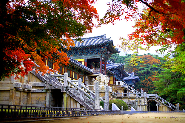 <p class="Normal"> <strong>Chùa Bulguksa</strong></p> <p class="Normal"> Chùa Bulguksa nằm ở thành phố Gyeongju, là một trong những ngôi chùa có giá trị nhất về lịch sử và tôn giáo của du lịch Hàn Quốc. Được UNESCO công nhận là di sản thế giới, chùa 1.500 tuổi Bulguksa có lưu giữ 7 quốc bảo của Hàn Quốc, trong đó có 2 bảo tháp bằng đá và 2 tượng Phật mạ đồng. Gần chùa Bulguksa là hang động Seokguram, một di sản văn hóa thế giới khác.</p> <p class="Normal"> Chùa cổ Bulguksa được khởi công xây dựng từ những năm 528 vào thời vương triều Silla, do hoàng hậu Beopheung khởi xướng nhưng phải đến năm 774 ngôi chùa mới chính thức được hoàn thiện.</p> <p class="Normal"> Ngôi chùa được xây dựng với kiến trúc độc đáo, với các vật liệu chủ yếu từ đá, gỗ, thêm vào đó, Bulguksa còn được tô điểm bởi những họa tiết hoa sen, trời mây, chim thú với màu ngũ sắc đặc trưng.</p> <p class="Normal"> Mặt phía trước chùa là hai bậc thang đá còn nguyên vẹn, dẫn đến hai điện thờ chính. Một điện thờ Đức Thích Ca Mâu Ni, điện kia thờ Đức A Di Đà.</p> <p class="Normal"> Trong đền có hai tháp Seokgatap và Dabotap cùng các cây cầu Cheongungyo, Baegungyo và Chibogyo. Tháp Seokgatap hay còn gọi là tháp bảo bối - tháp của tượng Phật thích ca cao 8,3 m. Seokgatap biểu trưng cho sự giản dị, gồm 3 tầng đại diện cho sự vươn lên về tinh thần đối với những luật lệ của Phật thích ca. Còn tháp Dabotap được trang trí hết sức công phu, lộng lẫy, biểu tượng cho tính đa dạng của thế giới.</p>