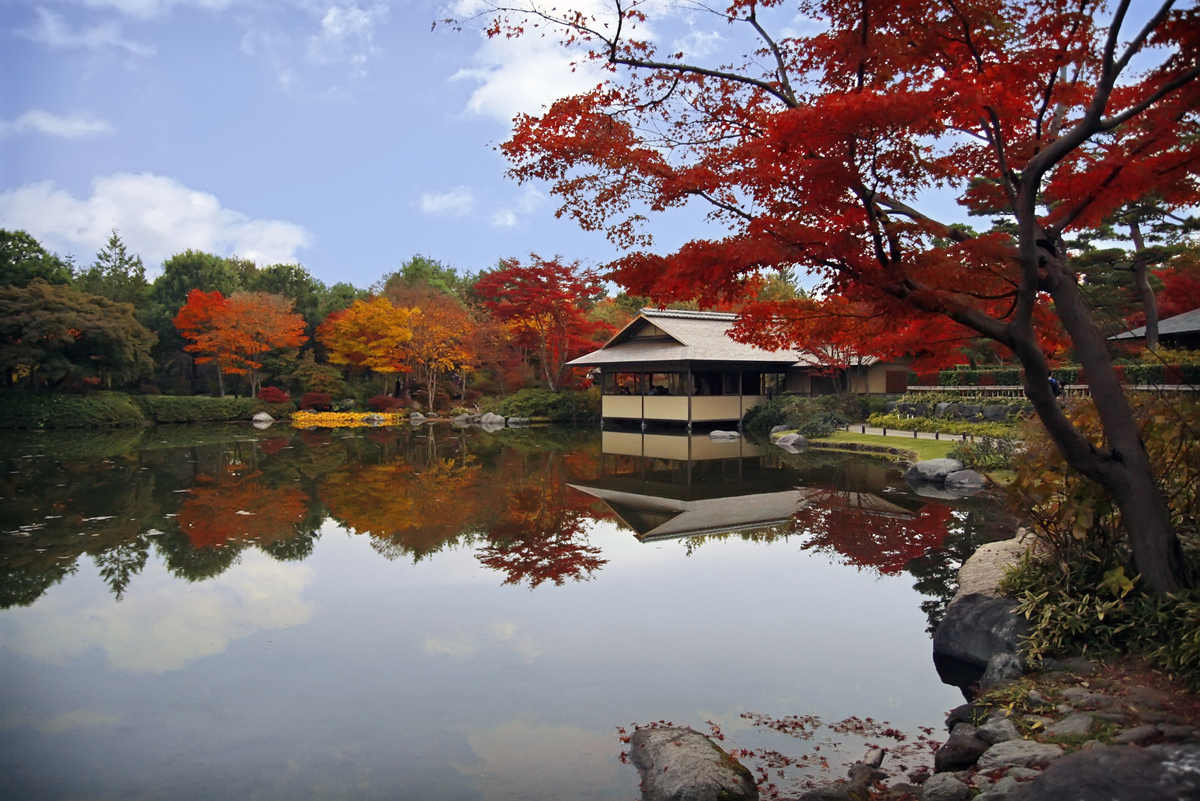 <p class="Normal"> Một khu vườn Nhật Bản truyền thống ngập sắc đỏ rực của Momiji.</p>