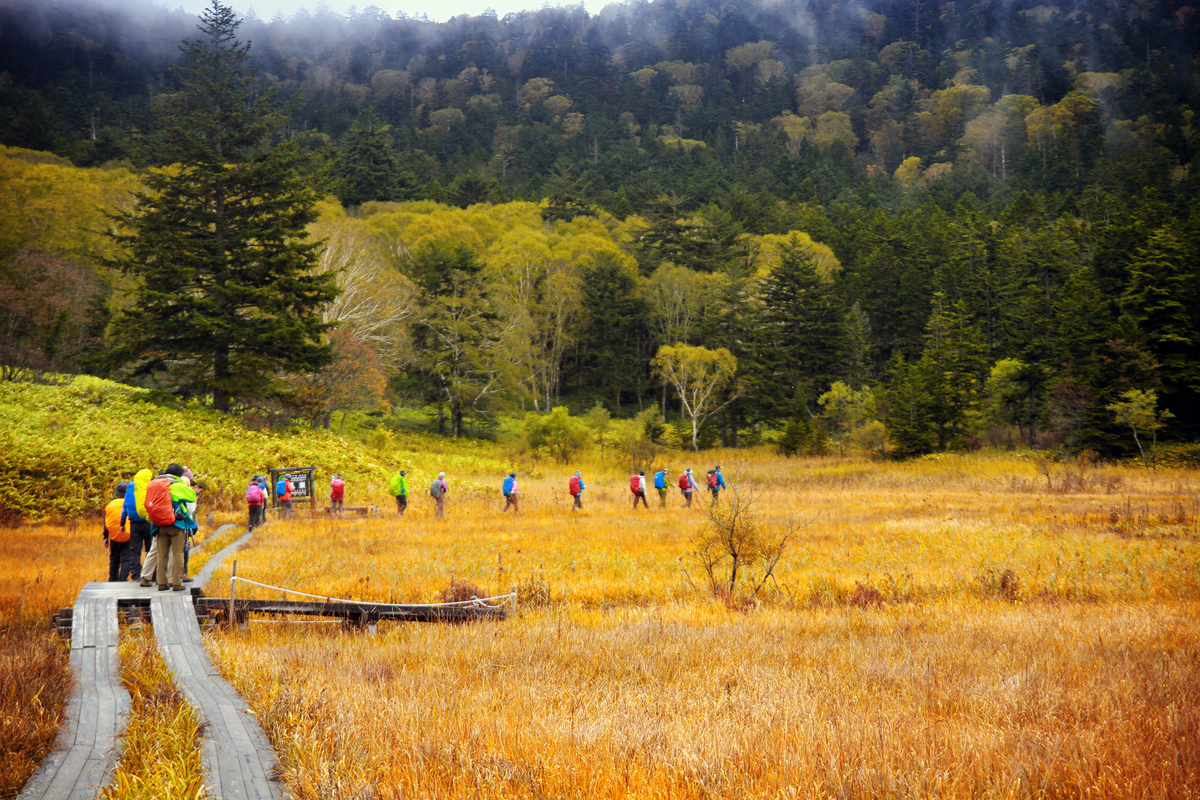 <p class="Normal"> Rừng quốc gia Oze cách Tokyo 150 km, một trong những nơi đón mùa thu sớm nhất và là điểm hiking nổi tiếng.</p>